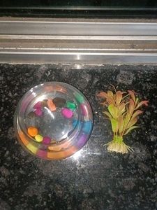 Decorative Glass Bowl with Colorful Stones