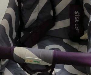 Purple &amp; Gray Baby Stroller