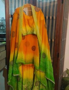 Orange Embroidered lehenga