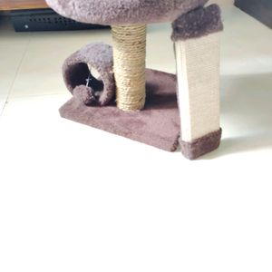 cat house &amp; cat food combo