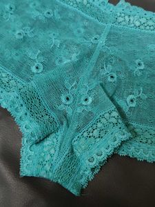 Teal Lace Briefs
