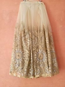 Exquisite Golden Lehenga Skirt