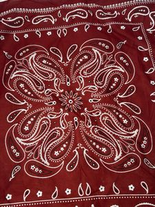 Combo of two Bandanas