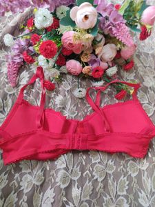 Lace Padded Bra