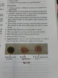 Physiology Helpbook Q &amp; A