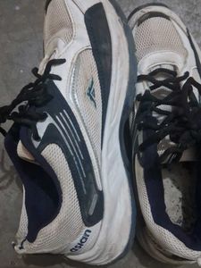 Sports Sneakers