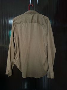 Classic Brown Collared Shirt