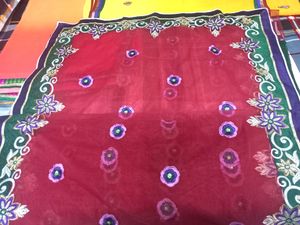 Beautiful  Net Saree