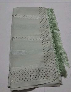 Elegant Light Green Embellished Saree
