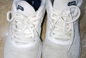 Campus White Shoes