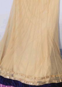 Elegant Cream Embellished Saree
