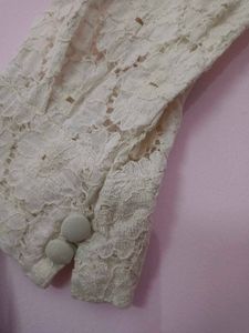 Elegant Lace dress
