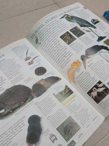 DK Illustrated Family Encyclopedia Volume 7