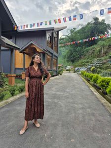 Stylish Printed Maxi Dress