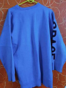 Looney Tunes Sweater