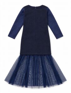 Girls Navy Embroidered Tulle Gown