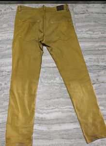 Combo of Cargo shorts and Jeans