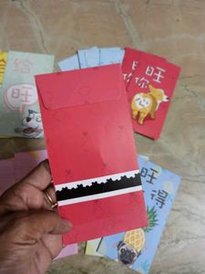 17 pcs Money Envelopes (Imported)