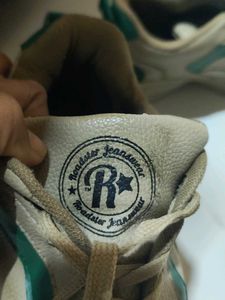 Casual Beige &amp; Green Sneakers SALE