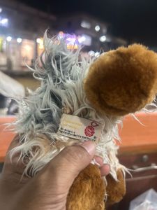 Keel Yorkshire Terrier 'Maisy' Puppy Dog Red