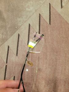 Rimless Designer Eyeglasses