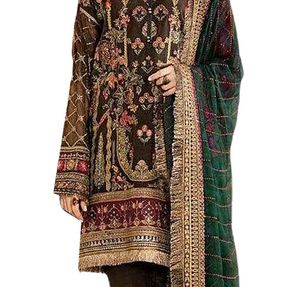 New Arrival Elegant Pakistani Article