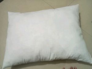 White Throw Pillow Insert