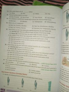 NCERT Class 12 Full Set - PCM + English + PE