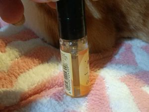 Plum Vanilla Caramello Perfume trial size