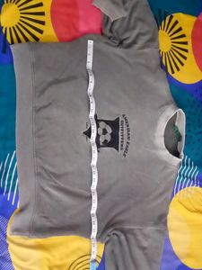 Oversized American Eagle Brand Shirt (Warm)