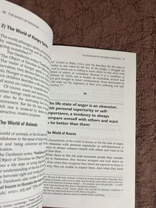 The Basics of Buddhism Book