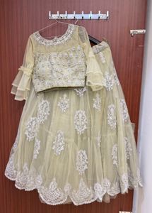 pastel green lehnga choli