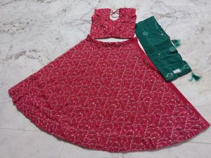 Embroidered Lehenga Choli Set