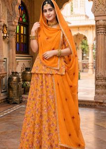 🧡Rajasthani Rajputi Dress & Poshak