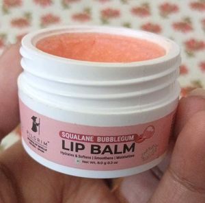 Pilgrim Lip Balm