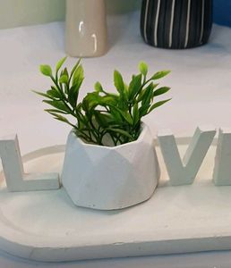 LOVE Decorative Showpiece with live cactus plant (