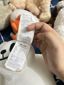 Cute White Teddy Bear Plush Toy