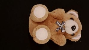 Cute Teddy Bear
