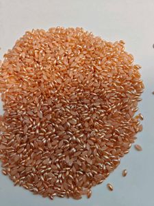 Peach & Gold Seed Beads it's 550 gram