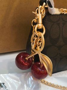 Coach Nolita Brown gift packaging (pouch&amp;charm)