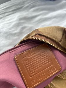 Coach Carly Hobo Bag