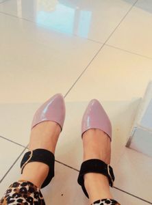 Lilac Pointed Bellies
