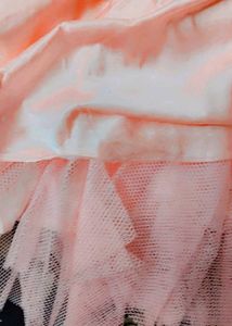 princess gown