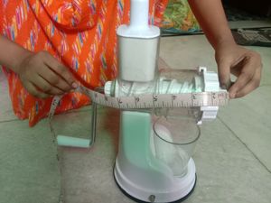 Fruit Juicer