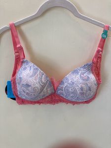 Clovia Women Bralette Lightly Padded Bra (Pink)