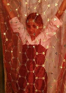 Red Embroidered Dupatta