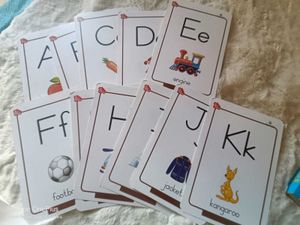 flash card babies