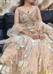 Lehenga Choli 2
