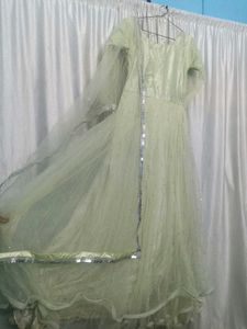 Elegant Embellished Ethnic Gown