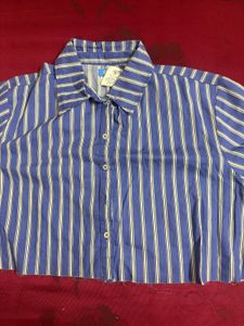 Blue Striped Cropped Shirt